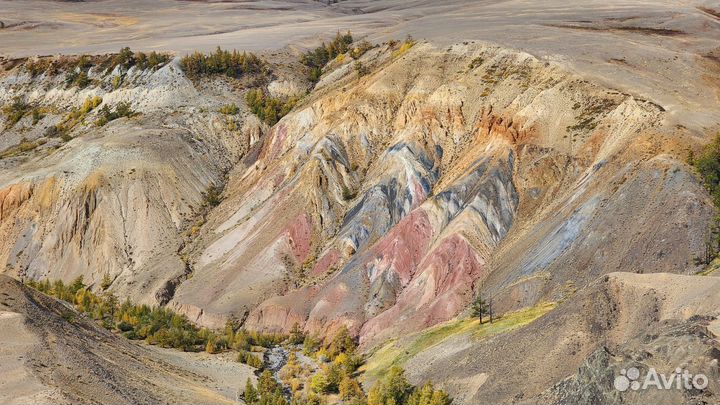 Гид по Алтаю, Экскурсии, Туры