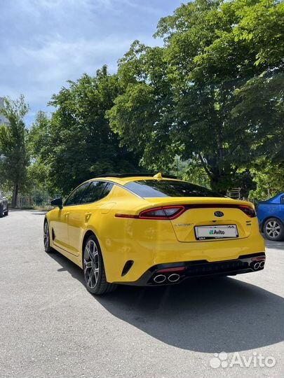 Kia Stinger 3.3 AT, 2018, 79 000 км