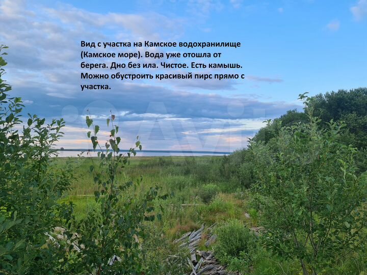 Участок 18 сот. (СНТ, ДНП)