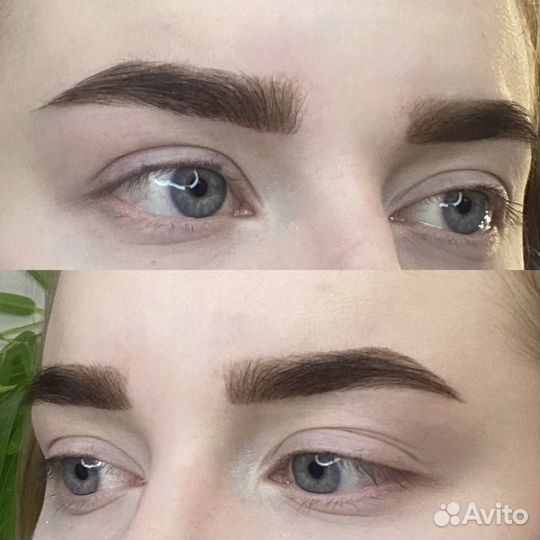 Мастер бровист