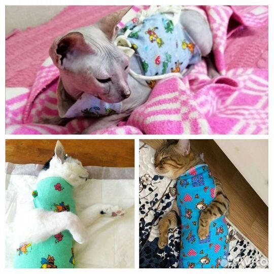 Ветврач.Стаж 23года.Кастрации.Стерилизации.Стрижки