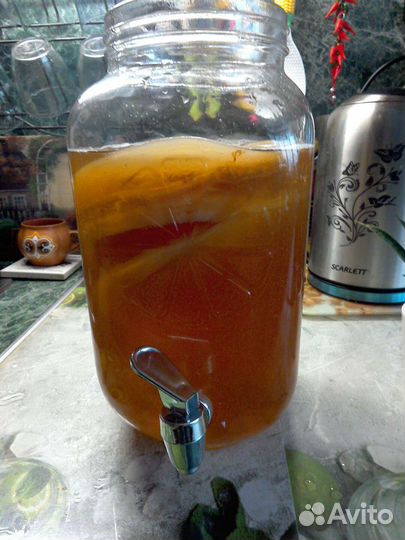 Чайный гриб. натуральный.Выращенный с любовью