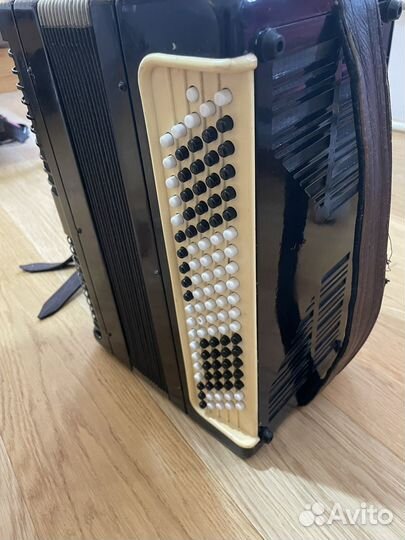 Баян тульский