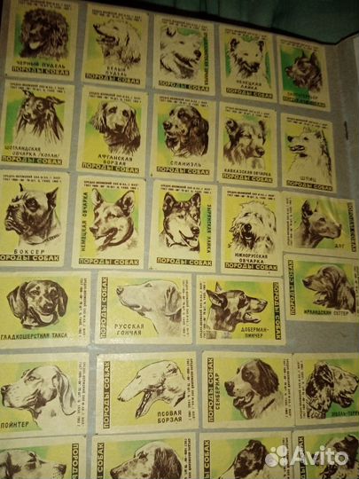 Этикетки спичечные СССР