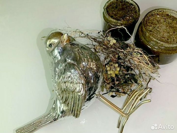 Стимулирующий мед для мужчин