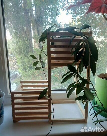 Стойка с корзинами для орхидей