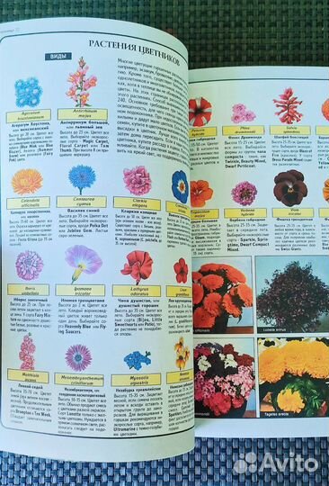 Книга комнатные растения