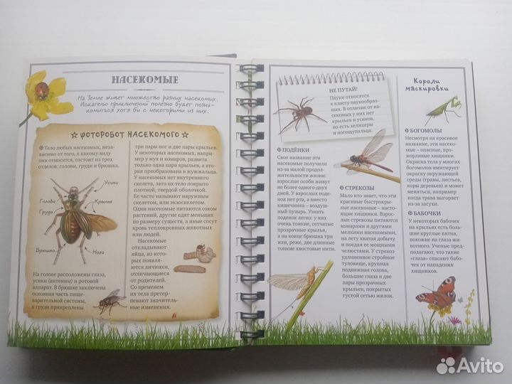 Книга для для настоящих мальчишек