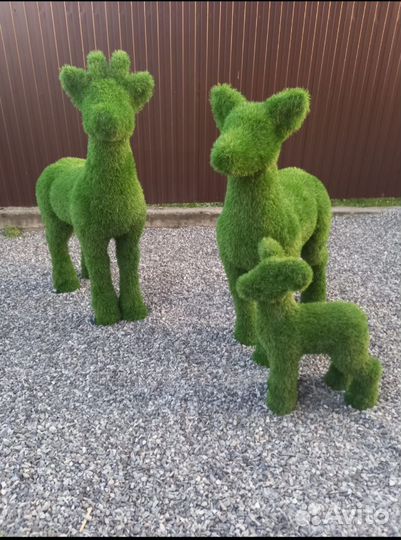 Топиари Топиарные фигуры Садовые фигуры