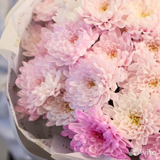 Розовый каскад L