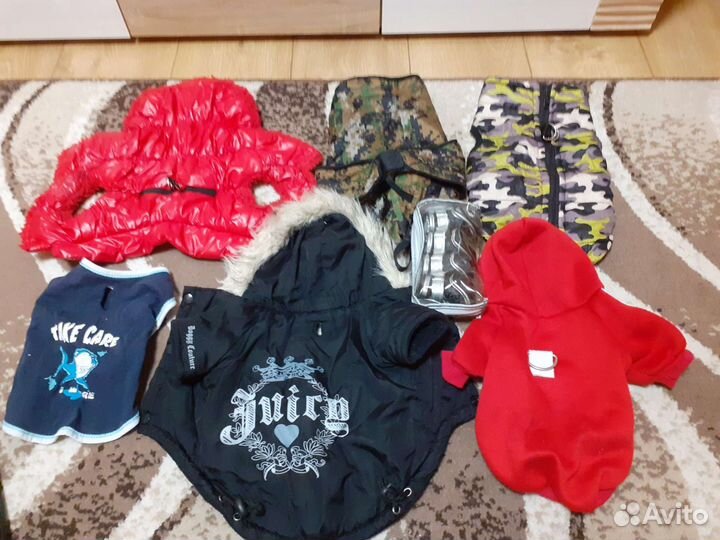 Одежда для собаки