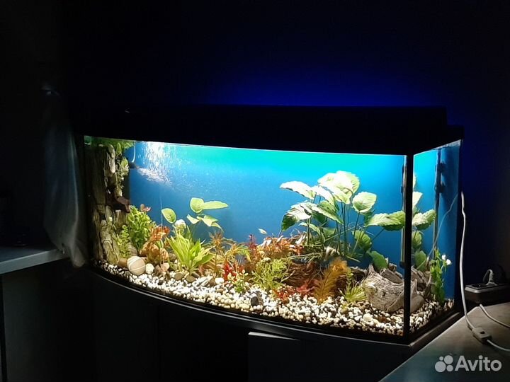 Аквариум 240 литров