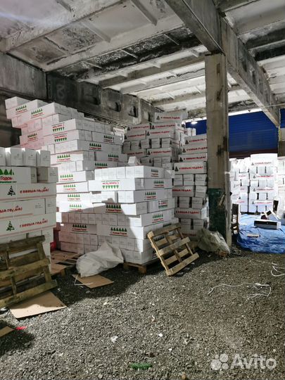 Ёлки искусственные оптом