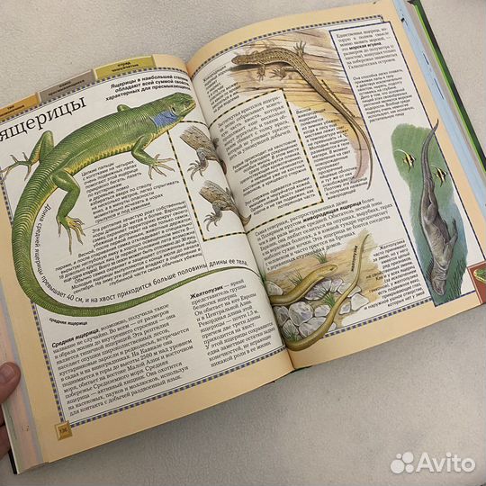 Большая энциклопедия животного мира