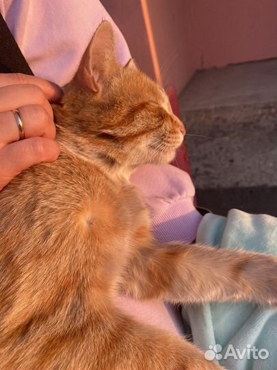 Рыжая девочка