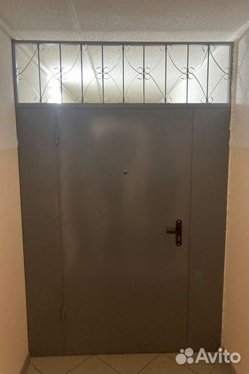 Дверь двухстворчатая металлическая