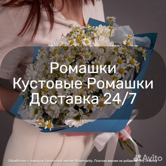 Ромашки Цветы Букет Москва мо