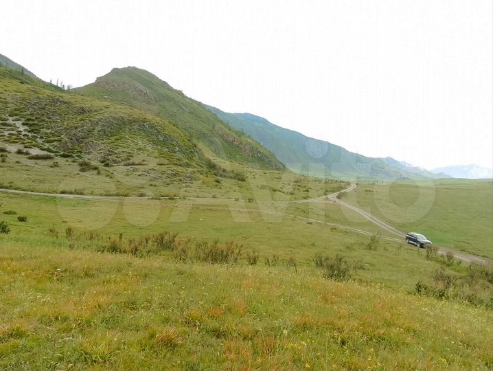 Участок 11 га (СНТ, ДНП)