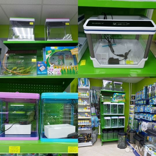 Аквариумы, Черепашники, Петушатники