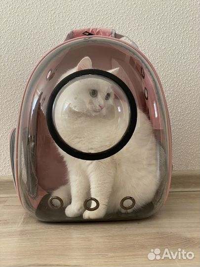 Рюкзак - переноска для кошки