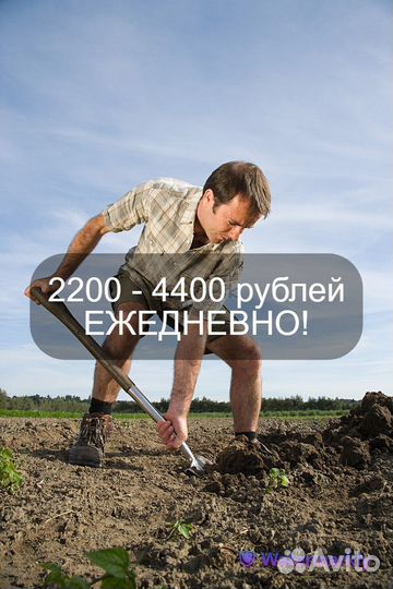 Разнорабочий ежедневные выплаты