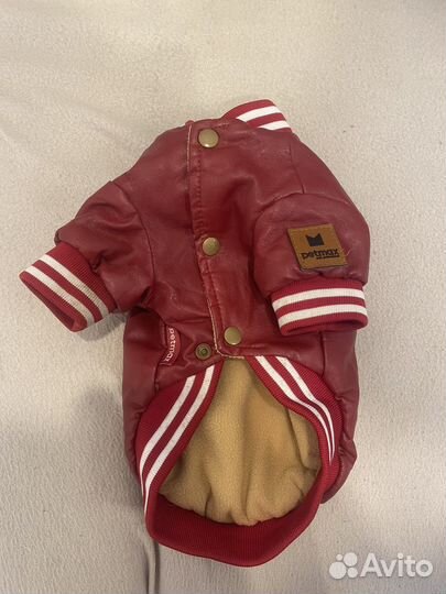 Одежда для собак