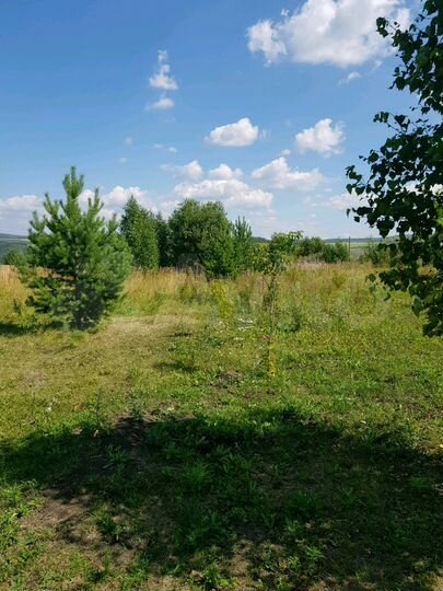 Участок 12 сот. (СНТ, ДНП)