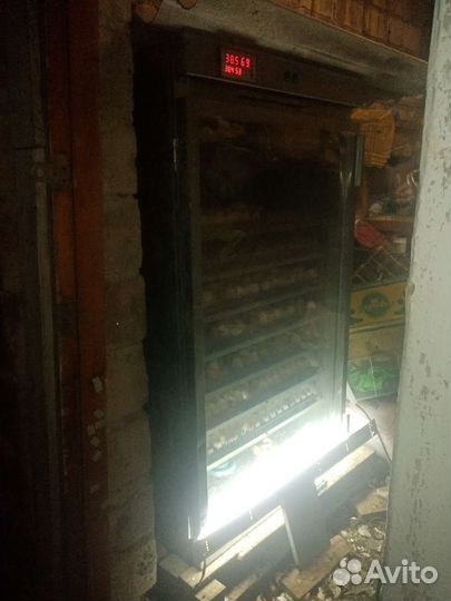 Инкубатор для яиц