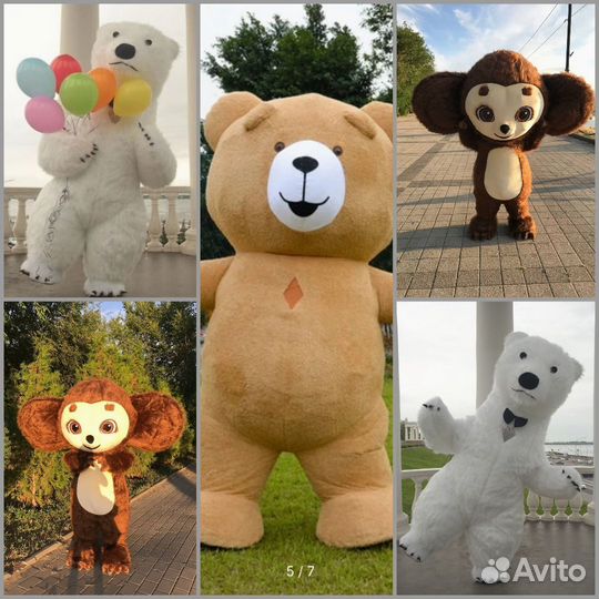 Белый Мишка, Ушастик, Мишка Тедди. (Поздравление)