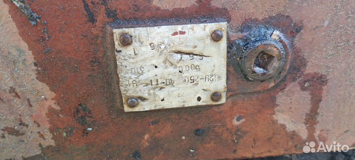 Редуктор 1ц2у 250