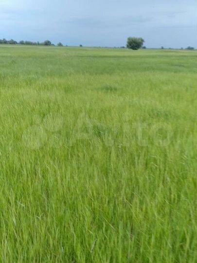 Участок 14000 га (СНТ, ДНП)