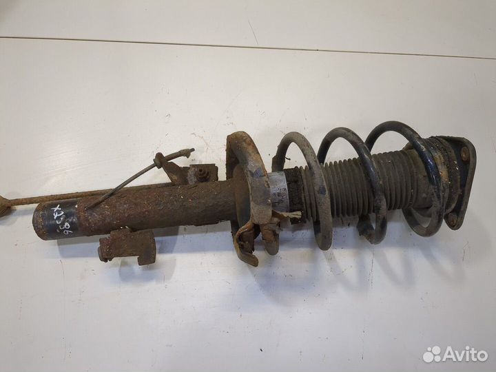 Амортизатор подвески Ford Focus 2, 2008