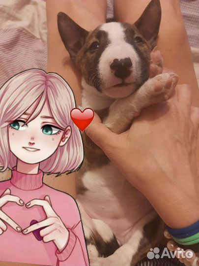 Минибуляшка Тиграшка