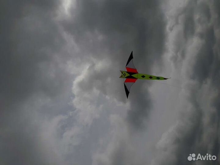 Воздушные змеи подарки