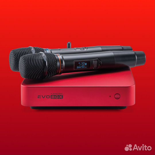 Караоке Evobox Plus рубин