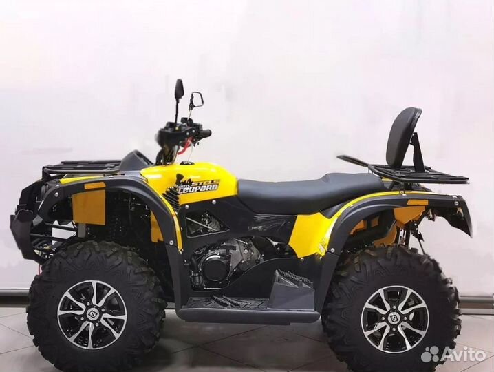 Квадроцикл Stels ATV 600 Y Leopard