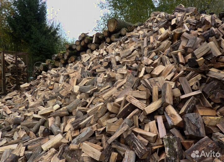 Дрова в баню