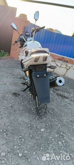 Racer magnum 250 c5b