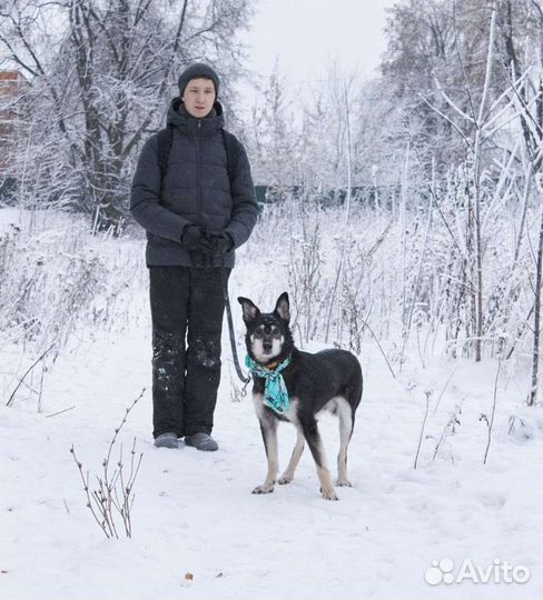 Джоник пёс из приюта