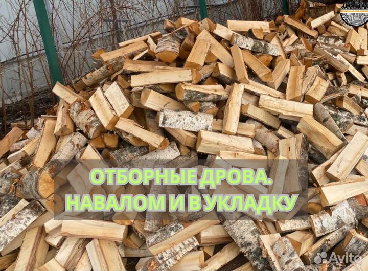 Дрова береза