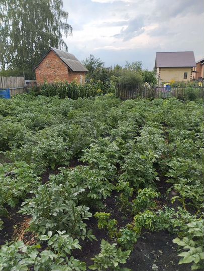 Участок 4,9 сот. (СНТ, ДНП)