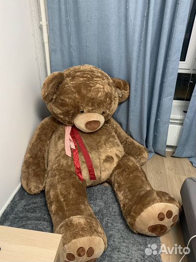 Плюшевый медведь