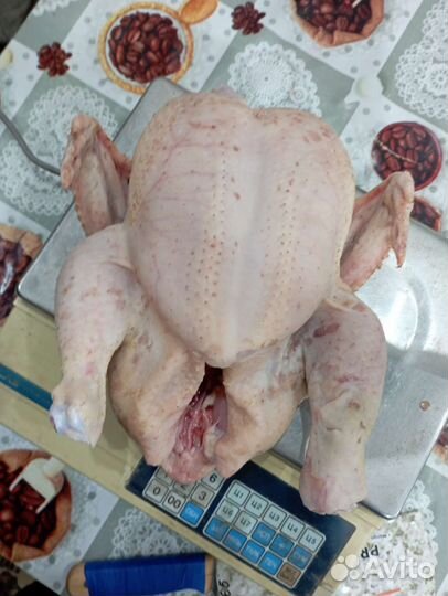 Мясо домашнего бройлера