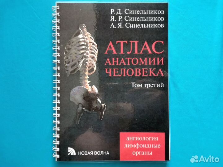 Атлас анатомии человека Синельников. Том Третий