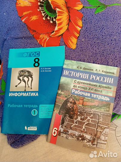 Рабочие тетради разные