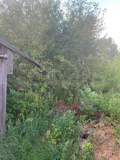 Участок 15 сот. (ИЖС)