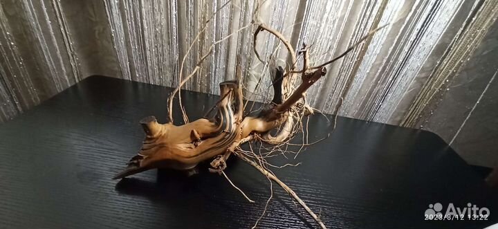 Коряга для декора