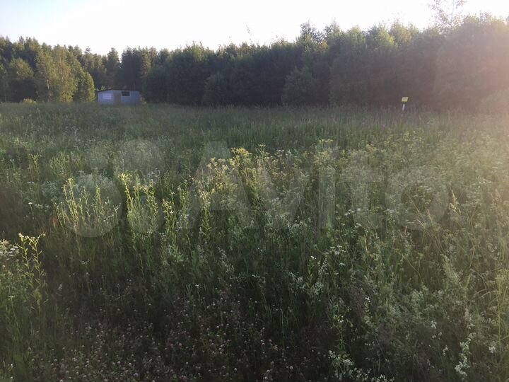 Участок 20 сот. (ИЖС)