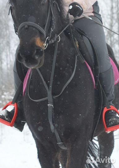 Оголовье для лошади, мартингал