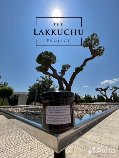 Чудо-мёд для похудения